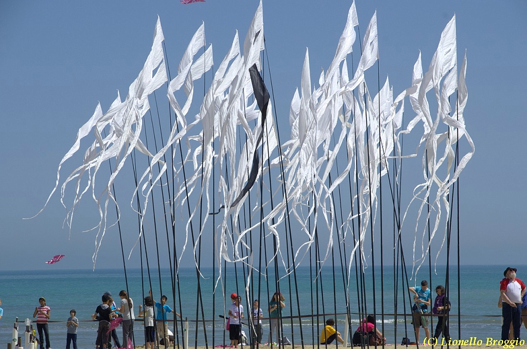 32 FESTIVAL CERVIA 2012 - 048.jpg